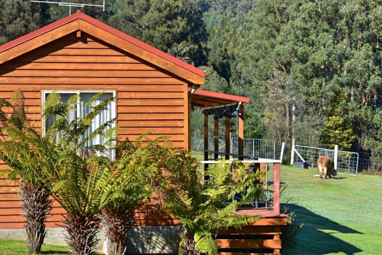 Maydena Mountain Cabins Kültér fotó