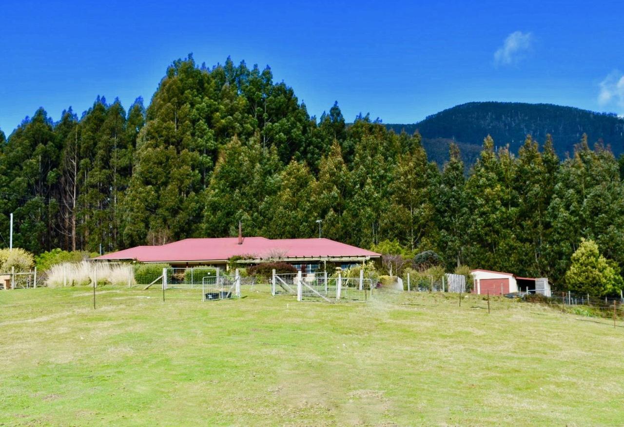 Maydena Mountain Cabins Kültér fotó